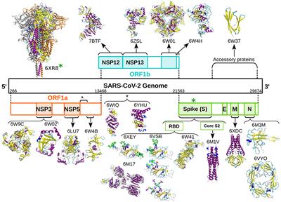 The SIRAH-CoV-2 Initiative: A Coarse-Grained Simulations' Dataset of the SARS-CoV-2 Proteome